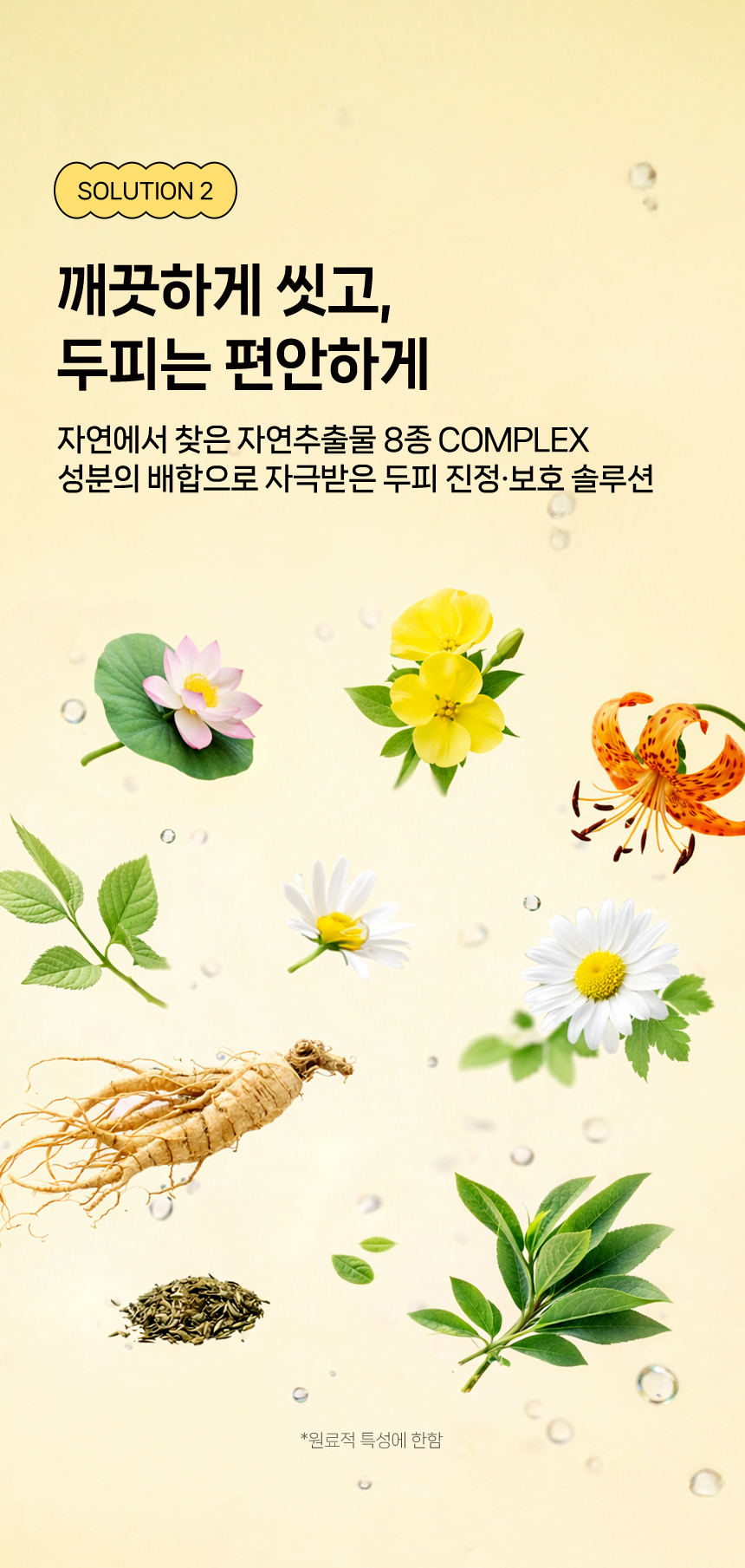 Ű�����_��Ǫ06