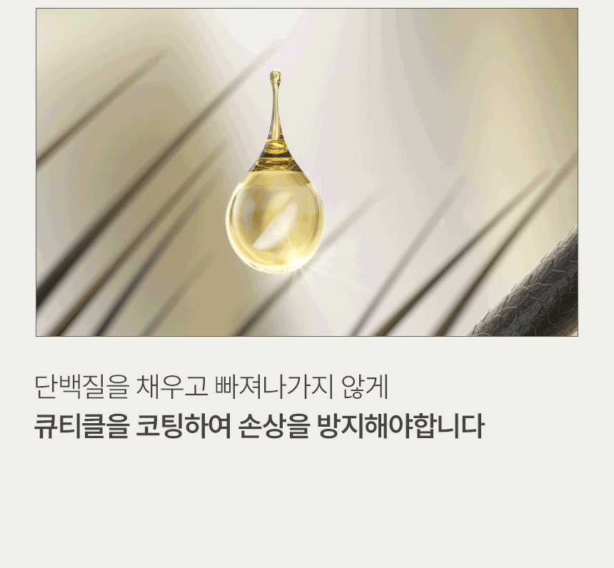 ��ũ �ɶ�ƾ �ܹ��� ������