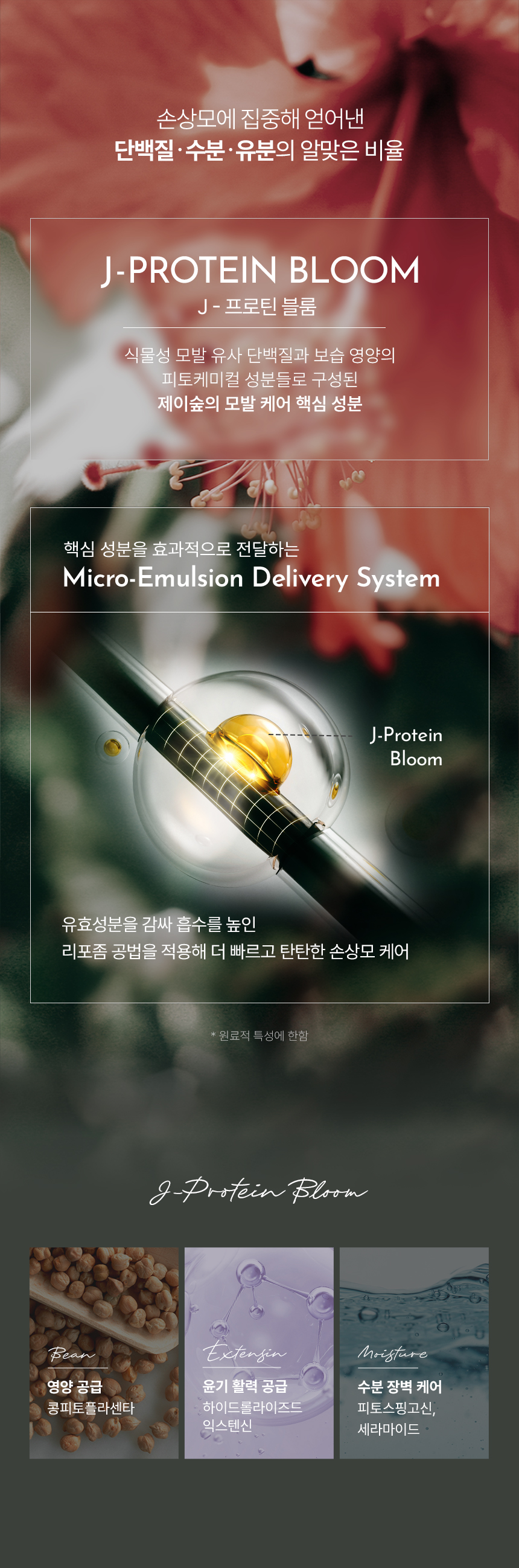 ��ũ �ɶ�ƾ �ܹ��� ������