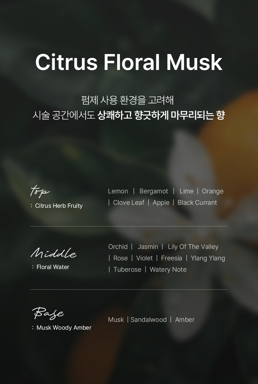 �����Ǿ����Ʈ��Ʈ