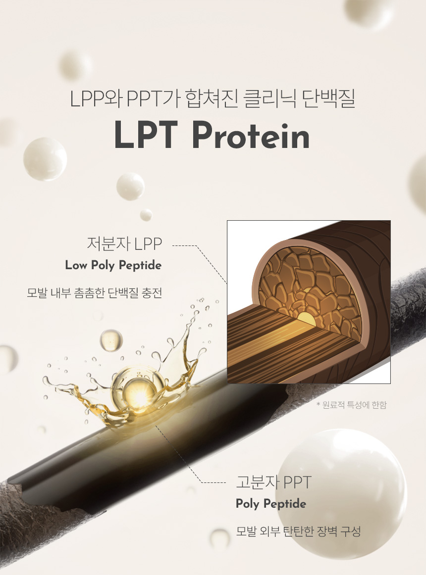 손상모라인 LPT단백질